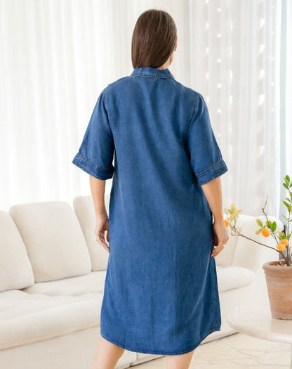 Gabby Denim Dress
